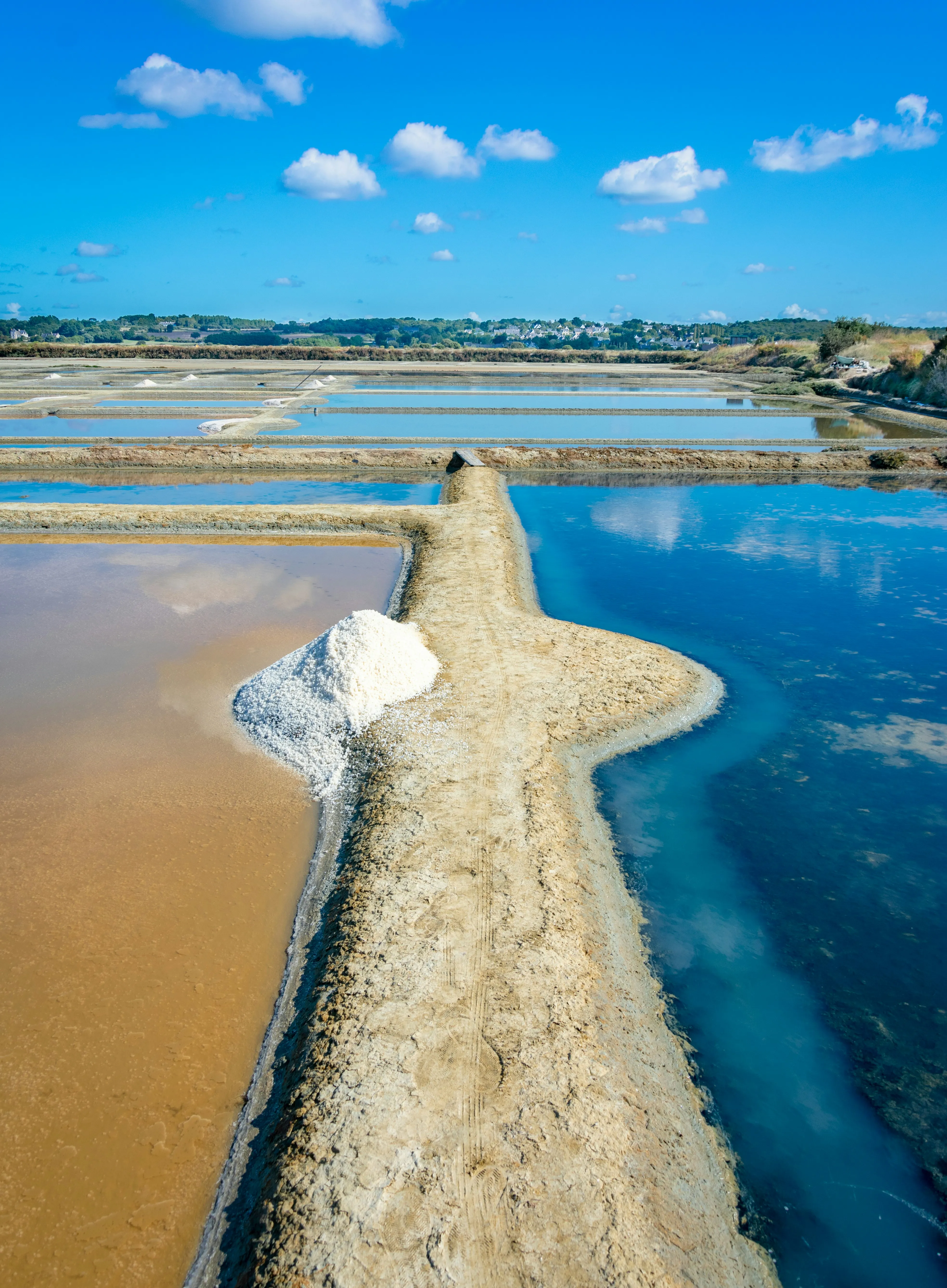 Illustration d'objets d'art